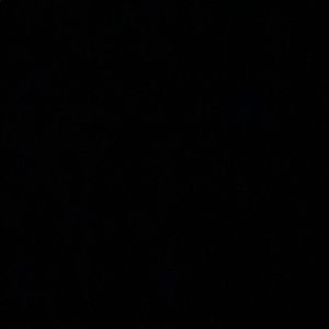 Meet your Posher, Paige